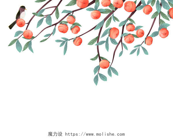 彩色手绘卡通柿子霜降柿子树秋天秋季果实寒露节气元素PNG素材